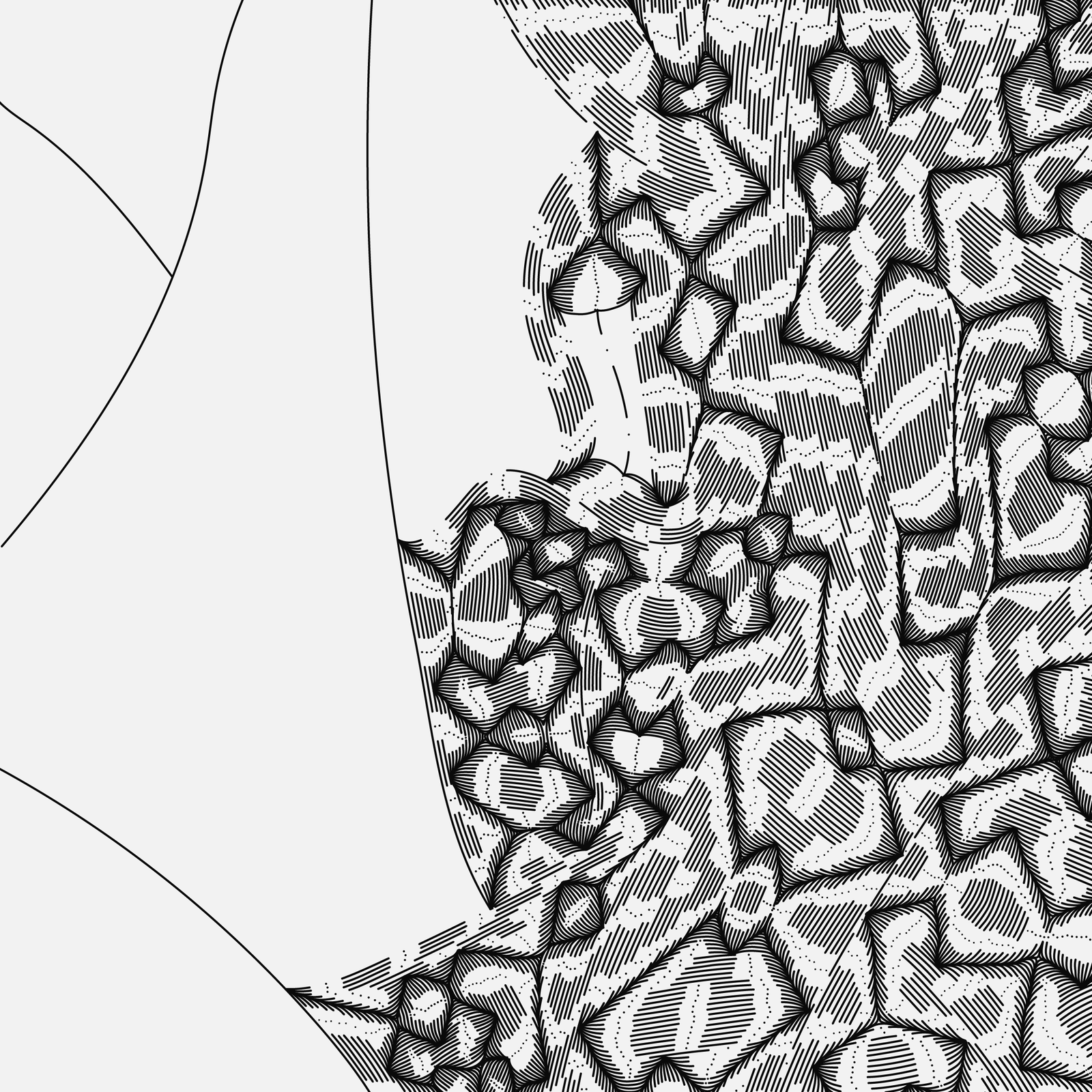 Daniel Lavrano - morphogenesis pattern